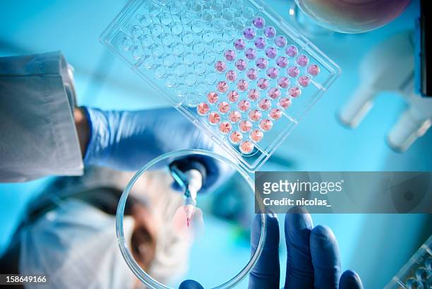 lab experiment - laboratory stock pictures, royalty-free photos & images