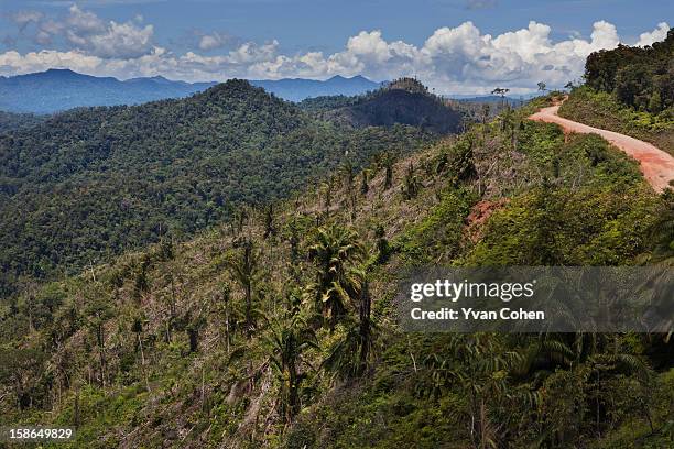 Evidence of deforestation in the Limbang area of Sarawak. With the support of the Malaysian government, logging companies have devastated huge areas...