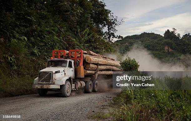 Truck hauls fresh timber from mountainous terrain in the Limbang area of Sarawak, Borneo. Once covered with pristine primary forest the area, which...