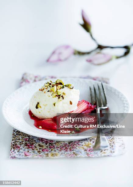 plate of rhubarb with ice cream - glace pistache photos et images de collection