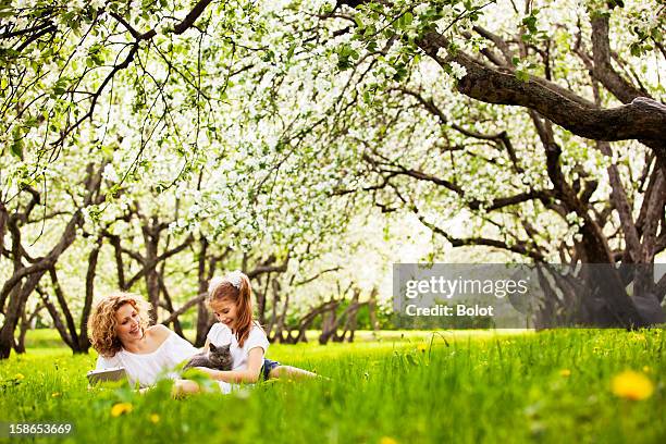 mother and daughter playing with kitten on lawn in park - cat spring bildbanksfoton och bilder