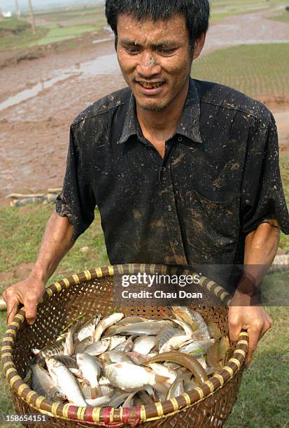 121 Wicker Fish Basket Stock Photos, High-Res Pictures, and Images - Getty  Images