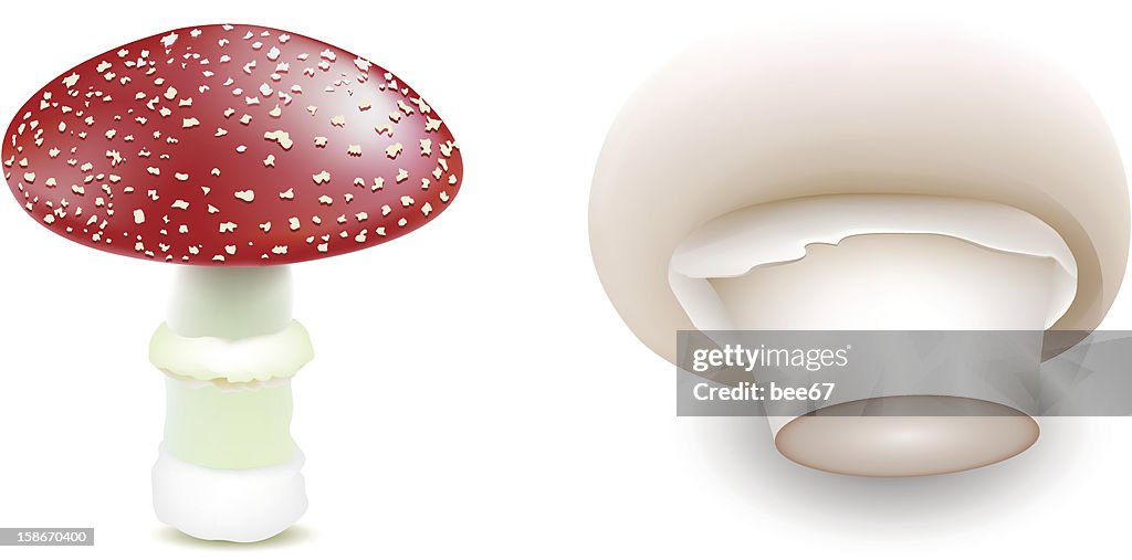 Mushrooms