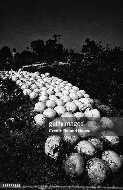 The Killing Fields at Choeung Ek just a few kilometers south of Phnom Penh. This is the location of the largest mass grave of the victims of the...