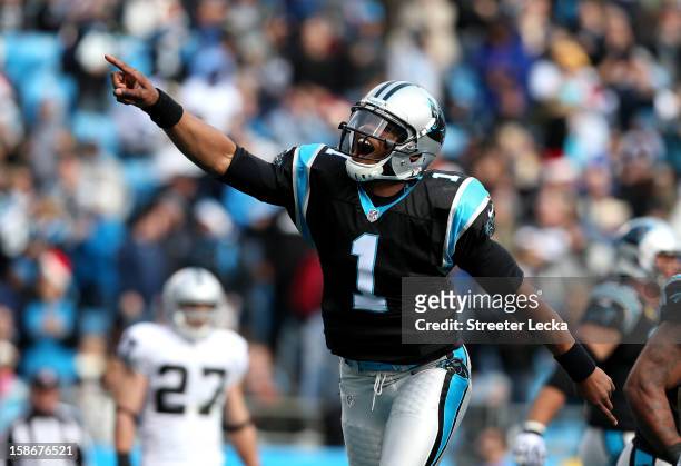 Cam Newton of the Carolina Panthers celebrates after throwing a touchdown pass to teammate Steve Smith during their game against the Oakland Raiders...