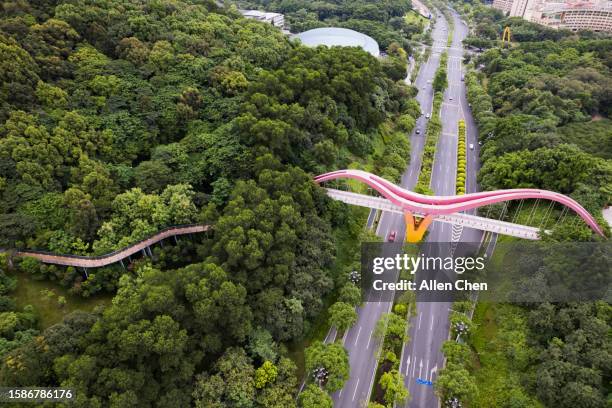 highways and greenways in the mountains and forests - glen allen stock pictures, royalty-free photos & images