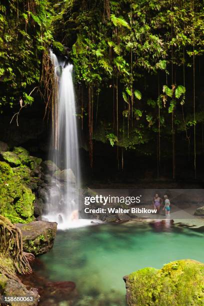 emerald pool waterfall - dominica stock pictures, royalty-free photos & images