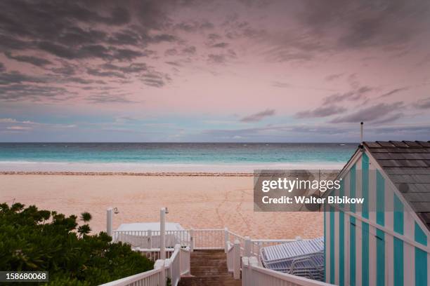 eleuthera island, harbour island, pink sands beach - bahamas fotografías e imágenes de stock