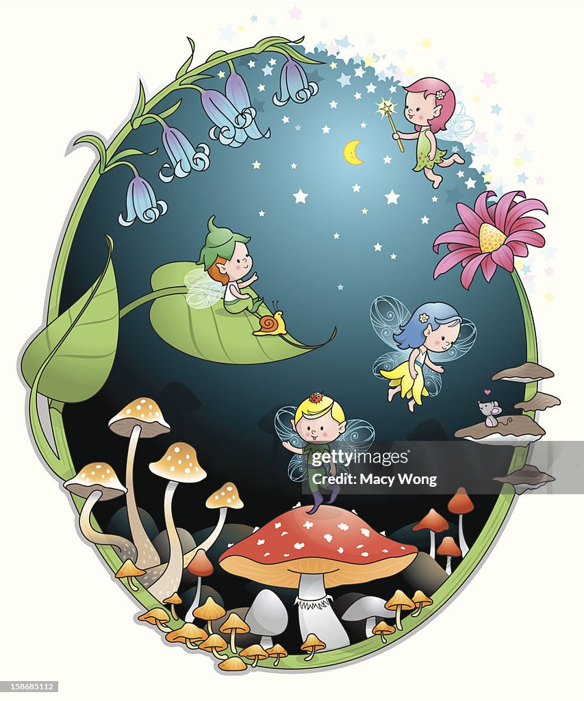 Fairy Tale pixie elf world