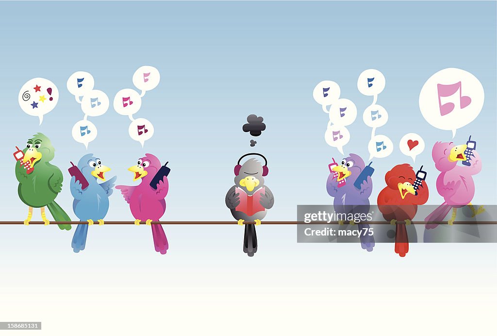 Noisy birds communication cellphone