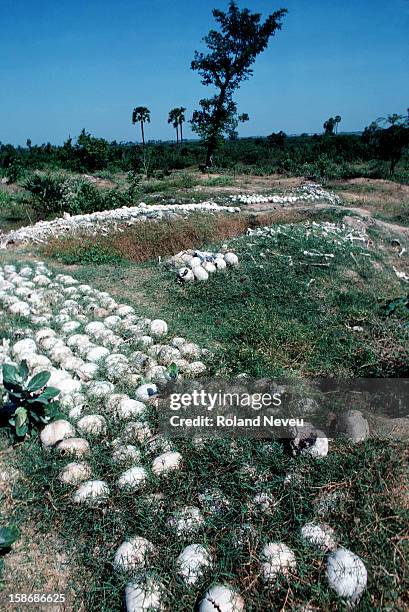 Unearthed skulls scattered around the area of Chong Ek..