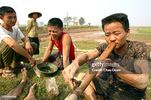 Vietnamese farmers take a break to smoke tobacco after catching fish in their rice fields on the outskirts of Hanoi. Most of the rice farmers in...