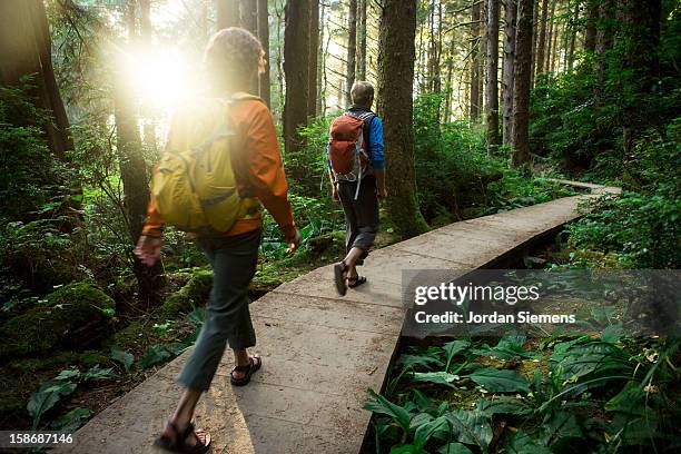 hiking through the redwood forest. - california del norte fotografías e imágenes de stock