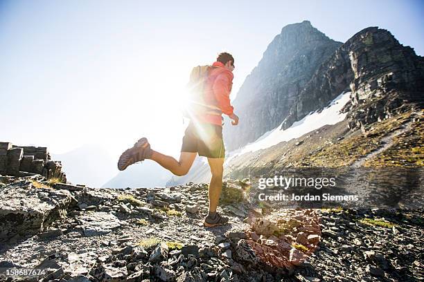 a man running in glacier park. - corrida cross country - fotografias e filmes do acervo