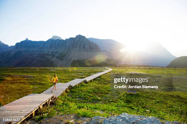 a woman running in glacier park. - whitefish montana stockfoto's en -beelden