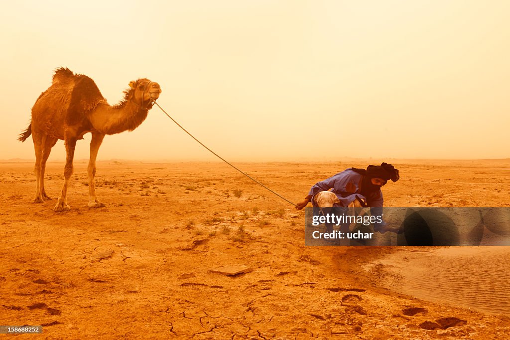 Sandstorm Sahara Desert