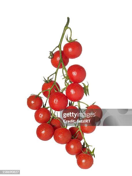 grape tomatoes - tomato isolated stock pictures, royalty-free photos & images