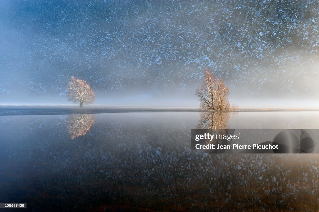 Reflections in a lake in winter, French Riviera