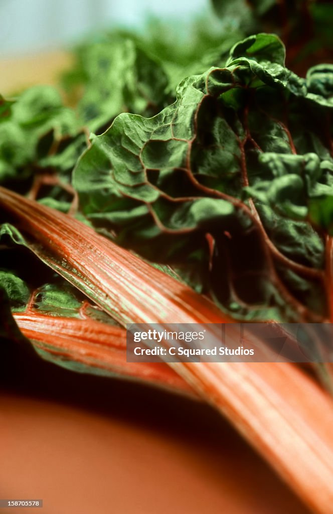 Rhubarb