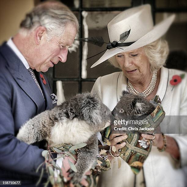 Prince Charles, Prince of Wales holds a koala called Kao whilst Camilla, Duchess of Cornwall holds a koala called Matilda at Government House on...