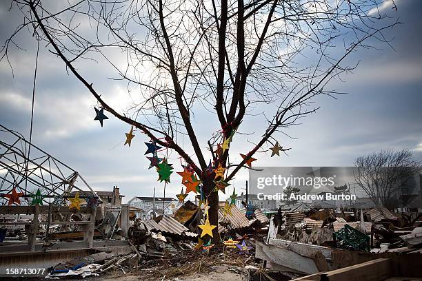 Ornaments hang on a burned tree December 25, 2012 in the Breezy Point neighborhood of the Queens borough of New York City. Residents are still...