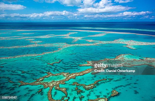 aerial of great barrier reef at whitsunday island - groot barrièrerif stockfoto's en -beelden