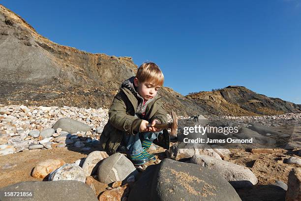 child fossil hunting on charmouth beach. - jurassic coast world heritage site 個照片及圖片檔