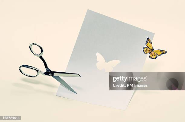 Butterfly cut from paper