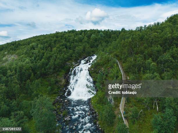 waterfall through green forest landscape - jamtland stock pictures, royalty-free photos & images