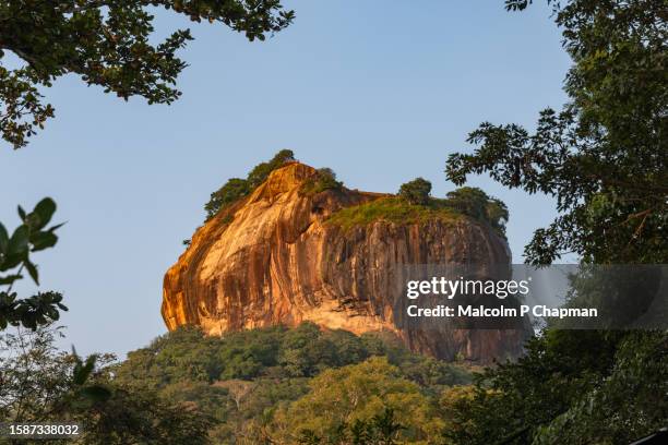 sigiriya lion rock fortress at sunset, dambulla, sri lanka - sigiriya foto e immagini stock