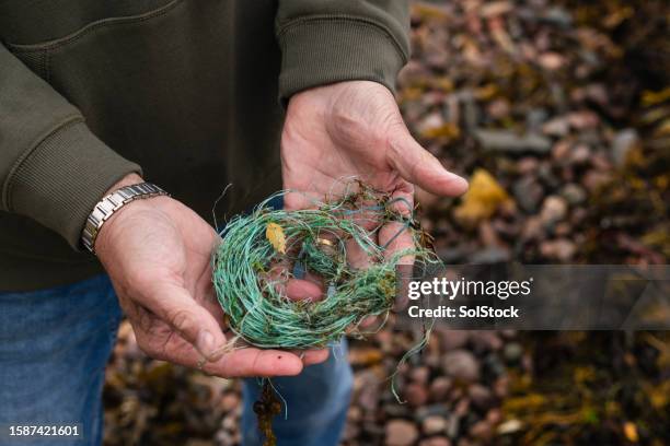 106 Tangled Fishing Line Stock Photos, High-Res Pictures, and