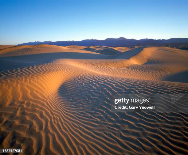 sand dunes at sunset in death valley national park, usa. - death valley stock-fotos und bilder