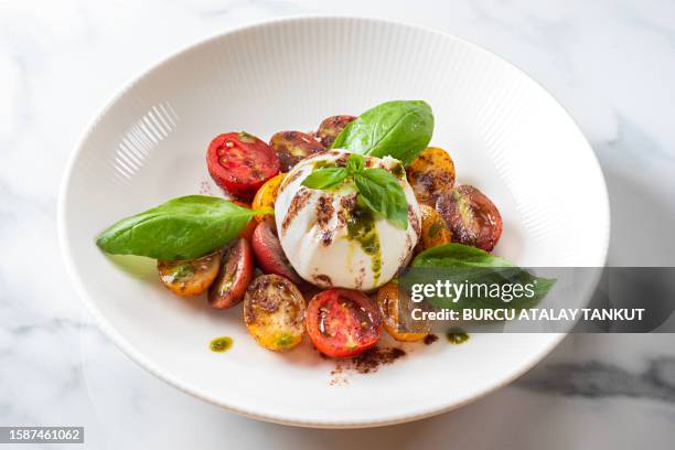 buffalo mozzarella with cherry tomatoes - buffalo mozzarella stock pictures, royalty-free photos & images