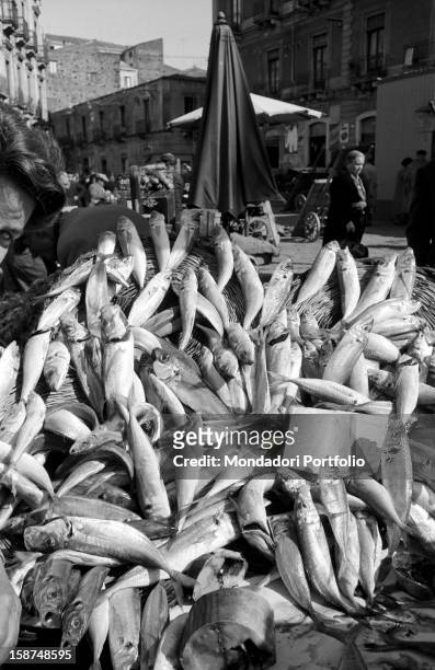 Stall selling fresh fish. Sicily, March 1958