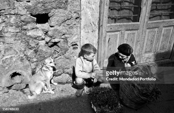 Two Sicilian children crouching down beside a dog and a wicker basket full of leaves and sprigs. Sicily, March 1958