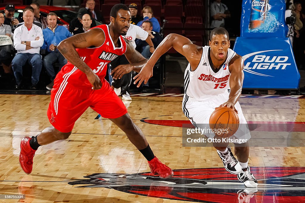 Maine Red Claws v Idaho Stampede