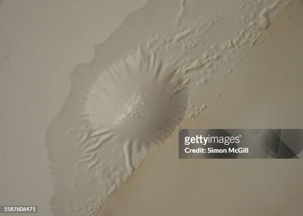 bulging paint blister and water staining damage on the eaves of a house caused by heavy rain - leaky roof stock pictures, royalty-free photos & images