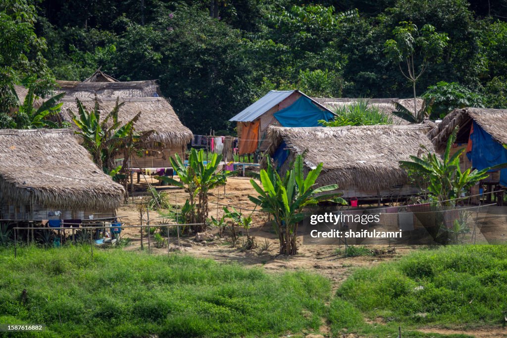 Nestled within the untamed beauty of the Royal Belum Rainforest National Park in the Malaysian state of Perak, lies the serene hamlet of traditional village for Jahai tribe.