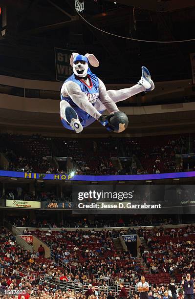 Stunted Rabbit Hip Hop (Mascot) Photos and Premium High Res Pictures - Getty Images