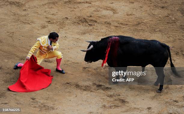 Spanish bullfighter Ivan Fandino looks into the eyes of the bull during a bullfight at the Canaveralejo bullring in Cali, department of Valle del...