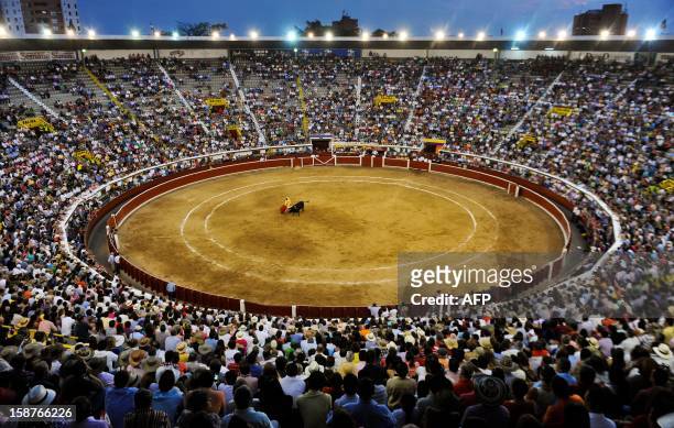 Spanish bullfighter Ivan Fandino performs a cape pass during a bullfight at the Canaveralejo bullring in Cali, department of Valle del Cauca,...