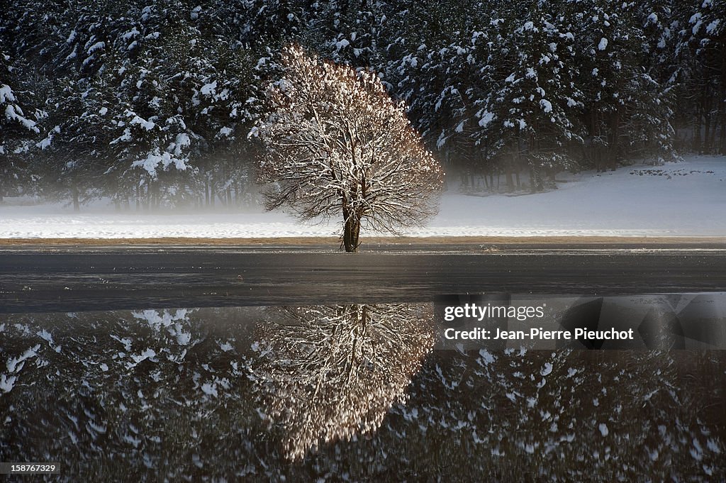 Reflections in a lake, French Riviera hinterland