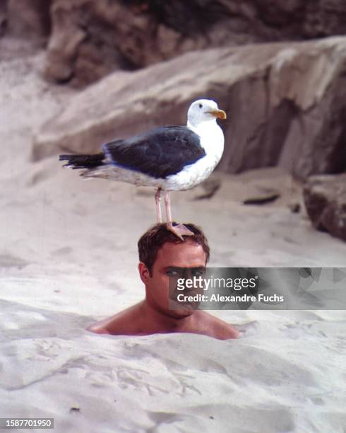 Actor Marlon Brando with a seagull during a scene of the film 'Bedtime Story' at France, in 1963.