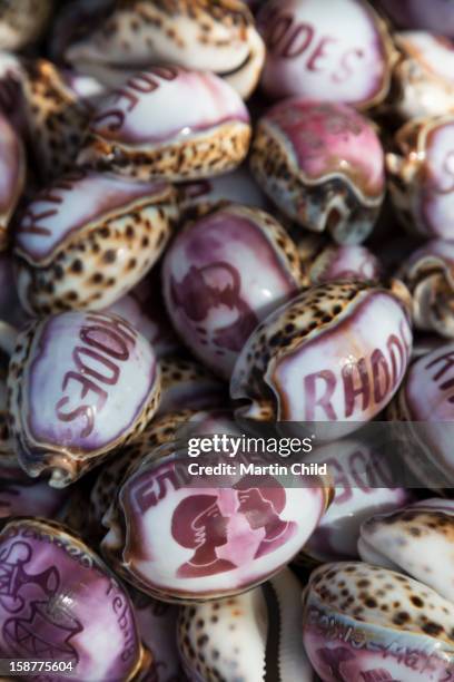 painted cowrie shells in rhodes old town - cowrie shell stock pictures, royalty-free photos & images