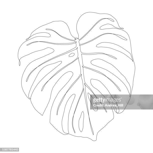 continuous line drawing of a monstera leaf with editable stroke - monstera 幅插畫檔、美工圖案、卡通及圖標