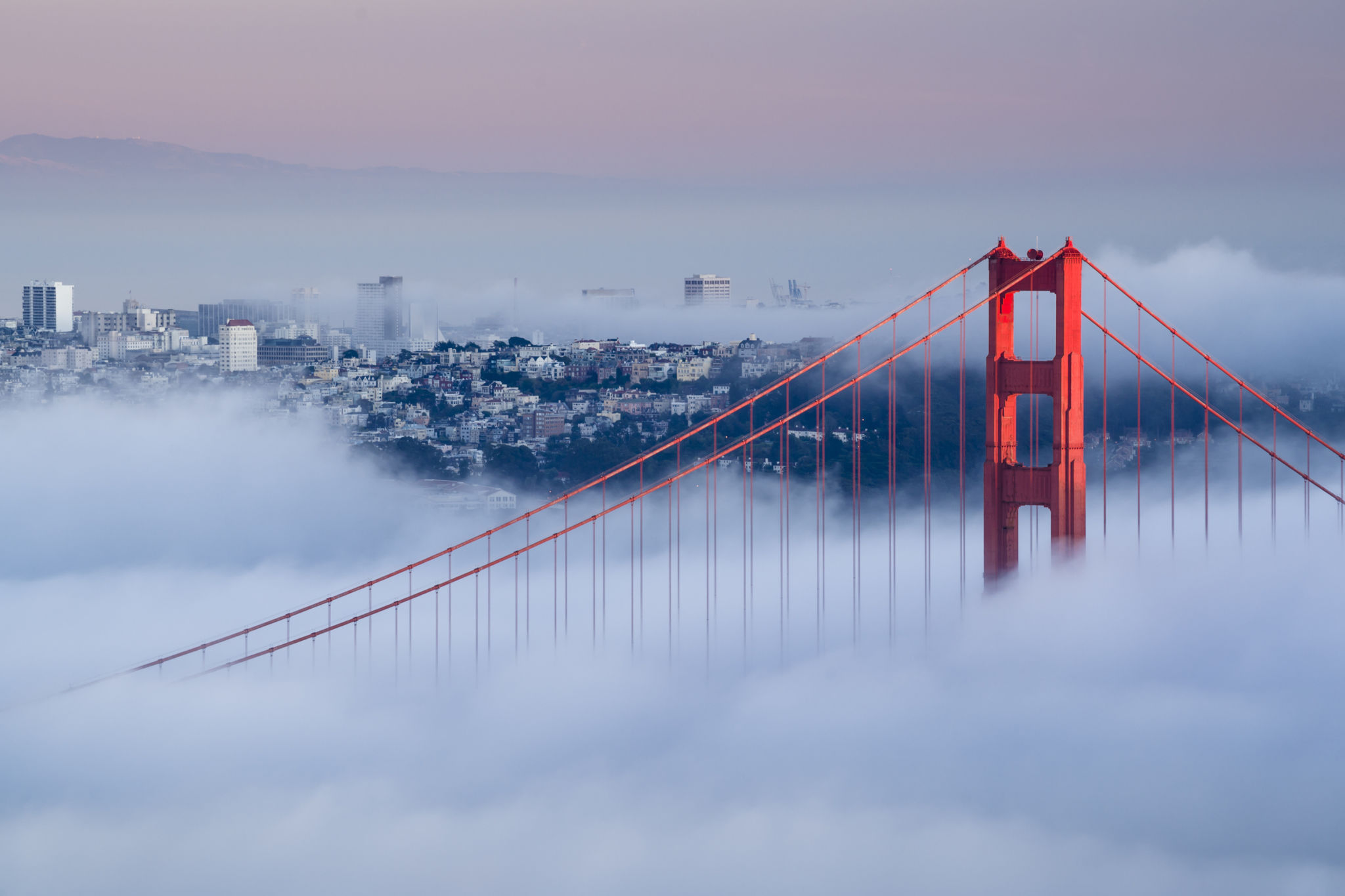 golden gate fog