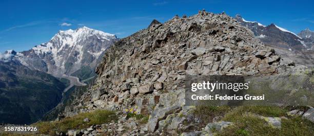 panorama view of monte rosa and monte moro from monte moro pass - mountain pass stock pictures, royalty-free photos & images