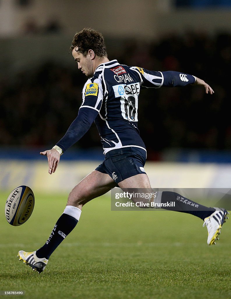 Sale Sharks v Worcester Warriors - Aviva Premiership