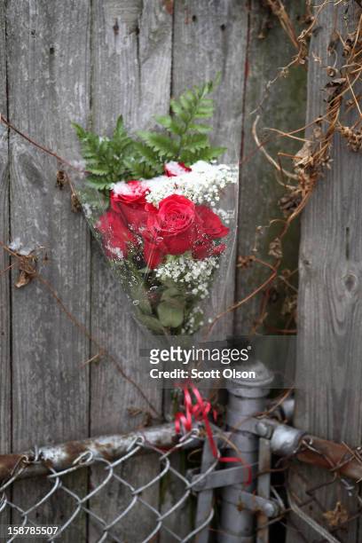 Roses sit on a fence near the spot where Federico Martinez was gunned down two days ago on December 28, 2012 in Chicago, Illinois. Martinez was...