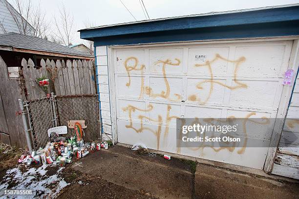 Graffiti is painted on a garage near the spot where Federico Martinez was gunned down two days ago on December 28, 2012 in Chicago, Illinois....